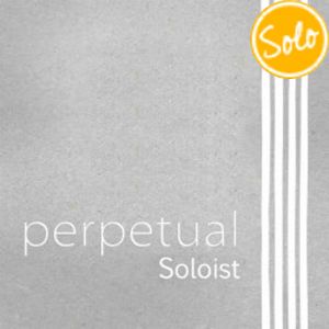persolo.JPG