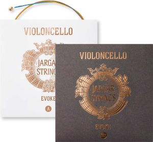 evokecello.JPG