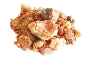Gum Copal Manila