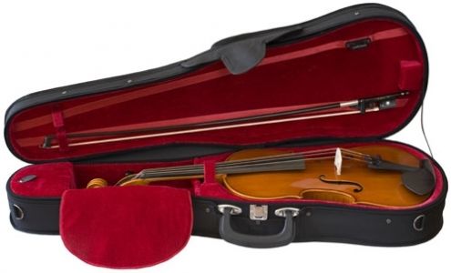 S. Eastman Viola Outfit, 13"