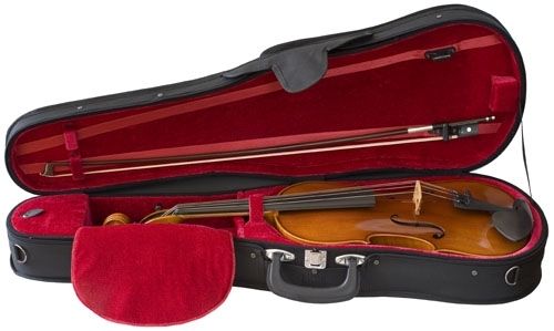 S. Eastman Viola Outfit, 15"