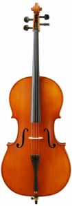 Andreas Eastman Cello, 7/8