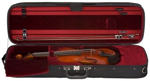 S. Eastman Violin Outfit, 4/4
