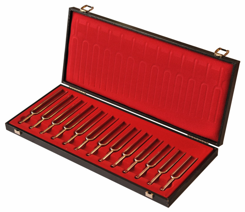 forkset.JPG