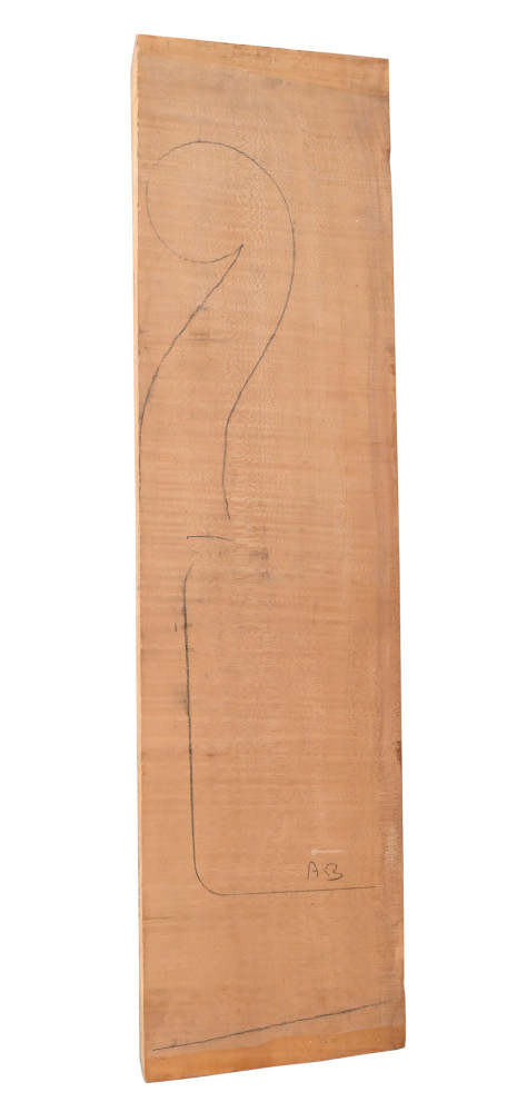 bass neck.jpg