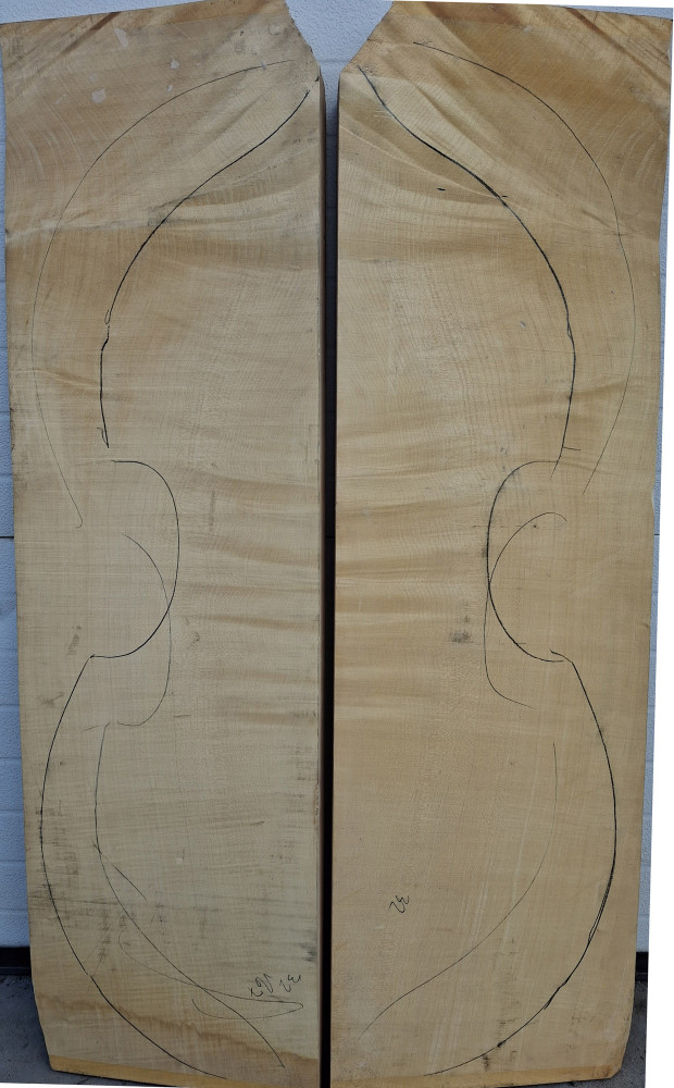 maple-bass-back-49-320.jpg