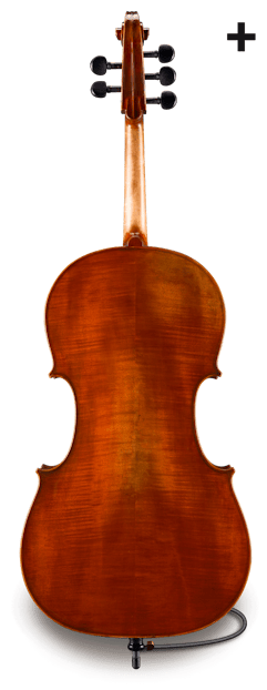 image (3).png
