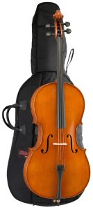 200cellooutfit2.jpg